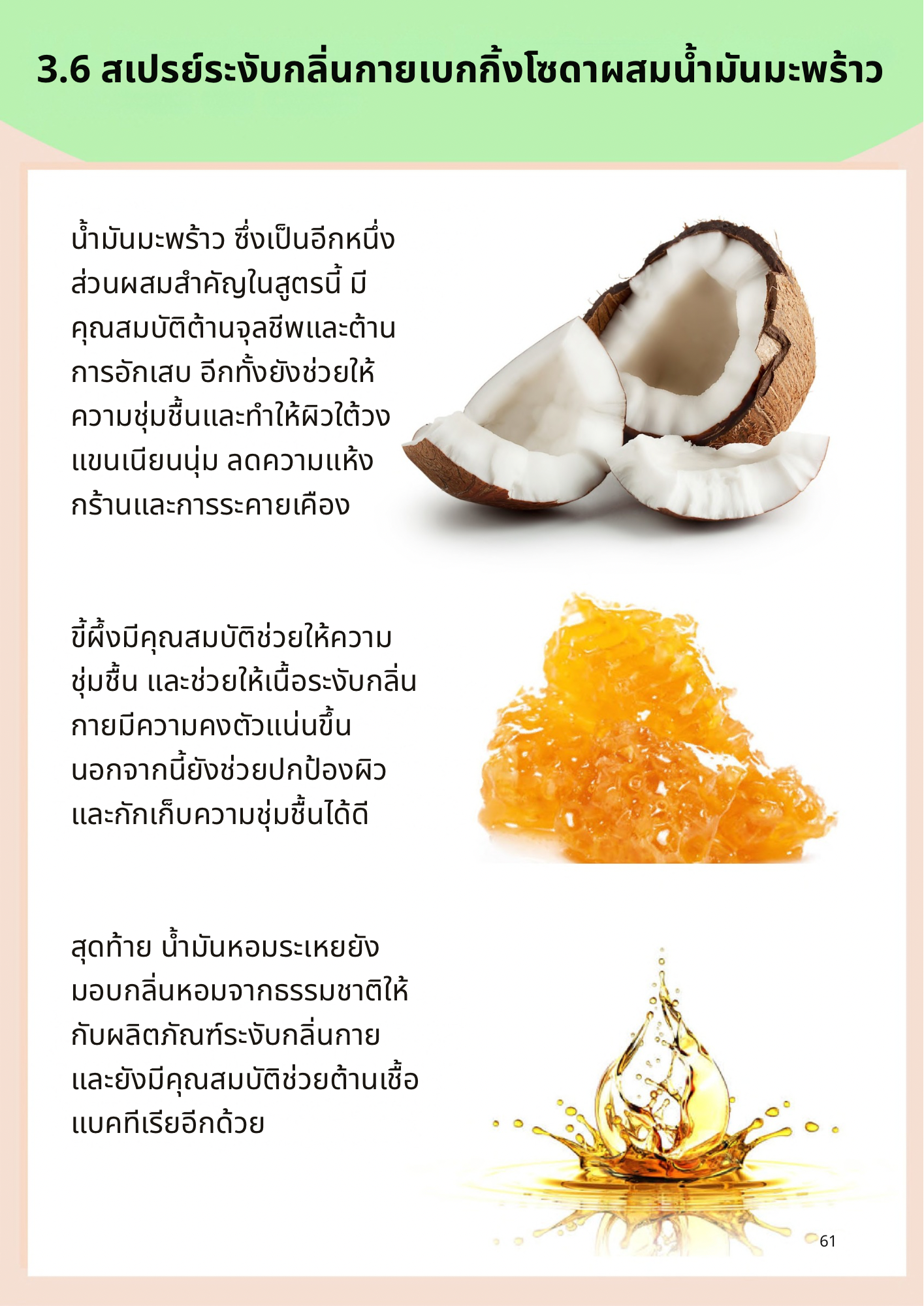 Rituals Botanica ความงามจากธรรมชาติ หนังสือดิจิทัล